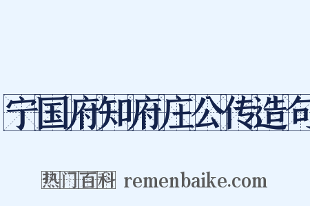 宁国府知府庄公传造句是什么意思的图片
